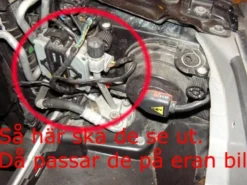 Angel Eyes Strålkastare Xenon Svart BMW 5-Serien E39 1995-08.2000