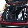 Artfex Hundgrind modell 1 Dubbeldörr