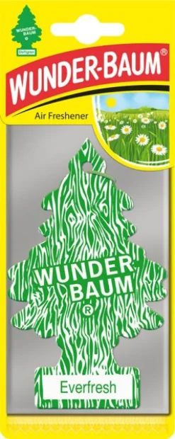 Doftgran Wunderbaum Everfresh