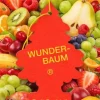Doftgran Wunderbaum Fruit Cocktail