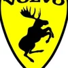 Emblem Sköld Volvo Stegrande Älg Gul/Svart - HÖGER