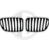 Kylargrill till BMW X1 (E84)