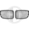 Kylargrill till BMW X1 (E84)